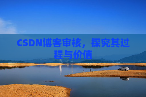 CSDN博客审核，探究其过程与价值
