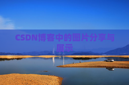 CSDN博客中的图片分享与展示